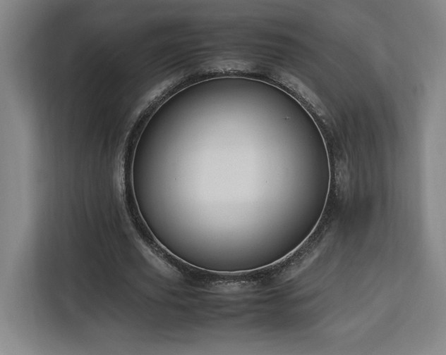 X0000112950629200908311510