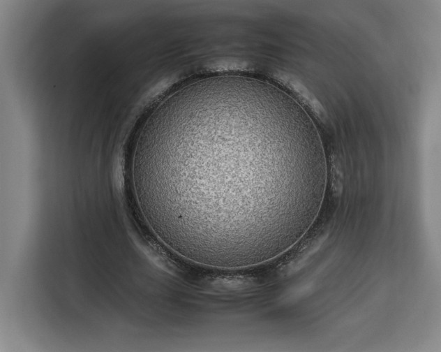 X0000112950631200908311510