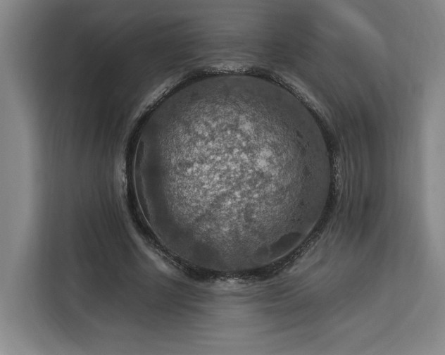 X0000112950634200908311510