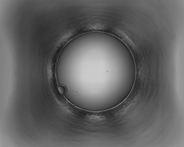 X0000112950635200908311510