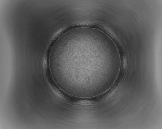 X0000112950636200908311510