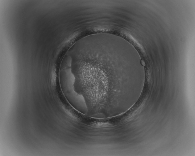 X0000112950637200908311510