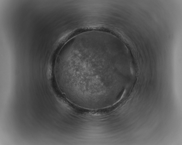 X0000112950640200908311510