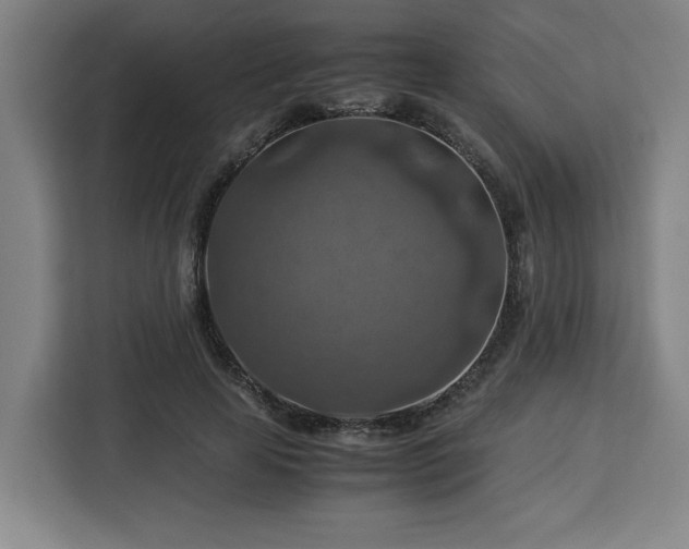 X0000112950641200908311510