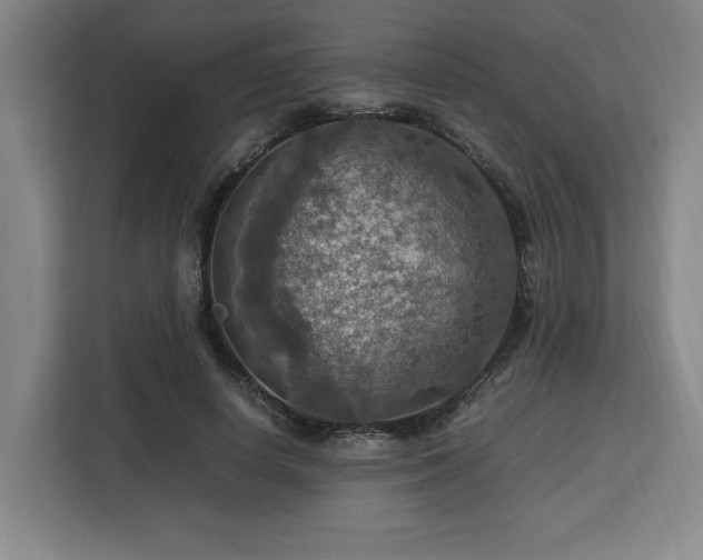 X0000112950642200908311510