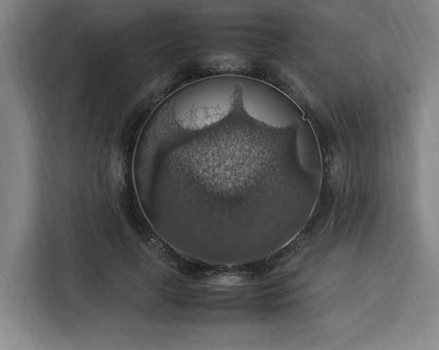 X0000112950643200908311510