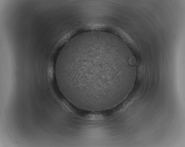 X0000112950644200908311510