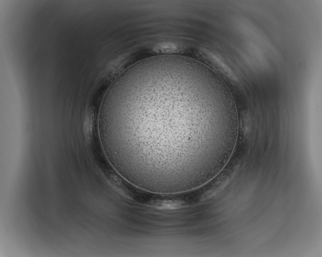 X0000112950645200908311510