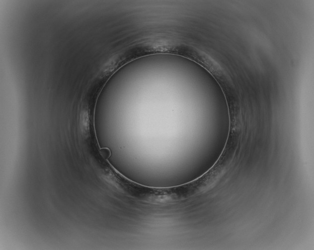 X0000112950646200908311510