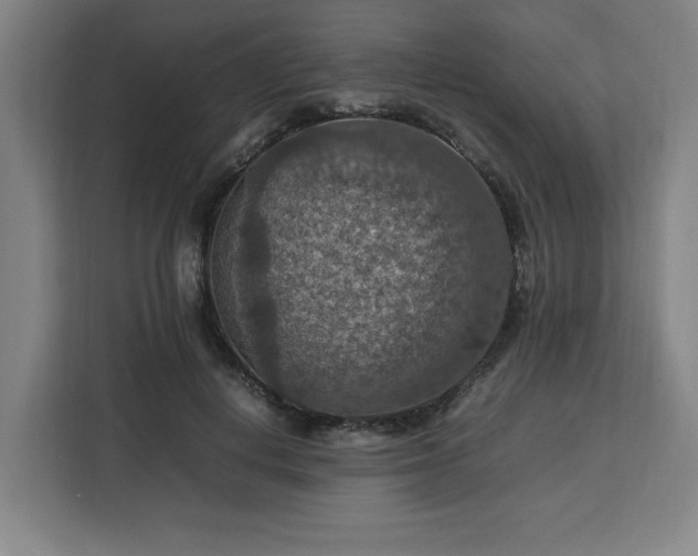 X0000112950648200908311510