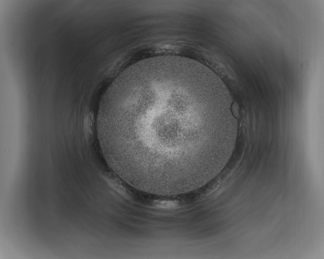 X0000112950649200908311510