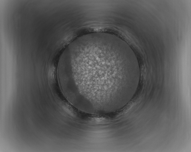 X0000112950650200908311510