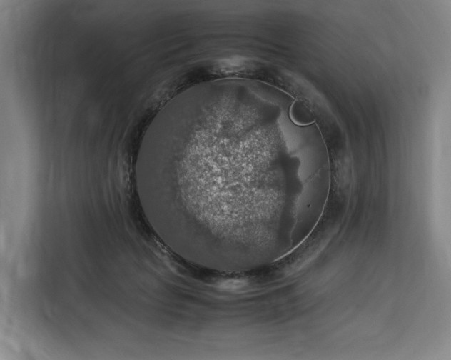 X0000112950653200908311510