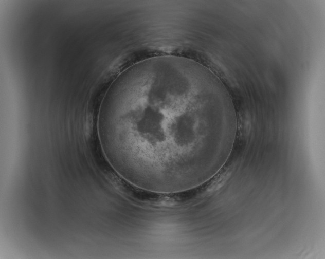 X0000112950656200908311510