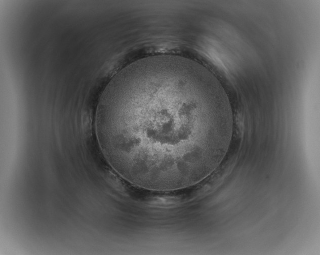 X0000112950657200908311510