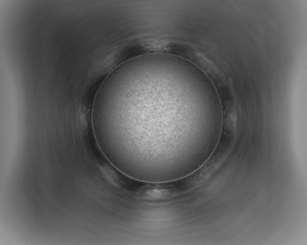 X0000112950658200908311510