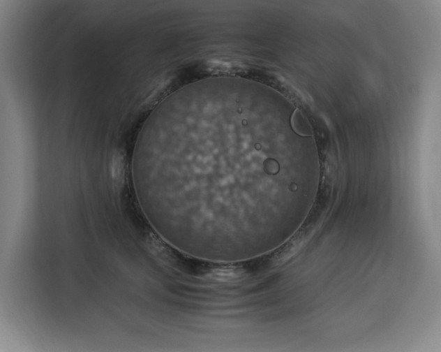 X0000112950659200908311510