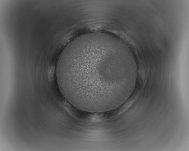 X0000112950660200908311510