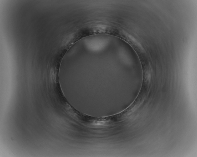 X0000112950661200908311510