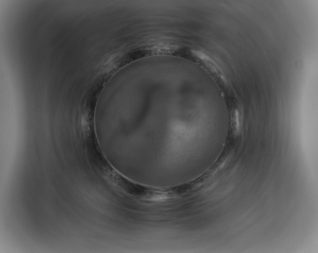 X0000112950663200908311510