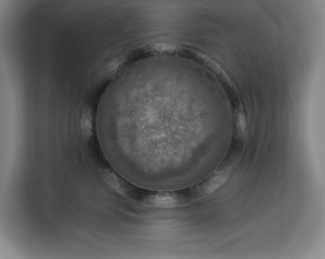 X0000112950668200908311510