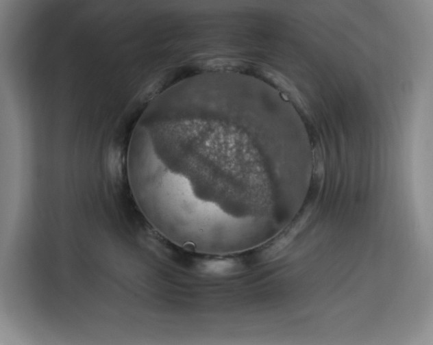 X0000112950669200908311510