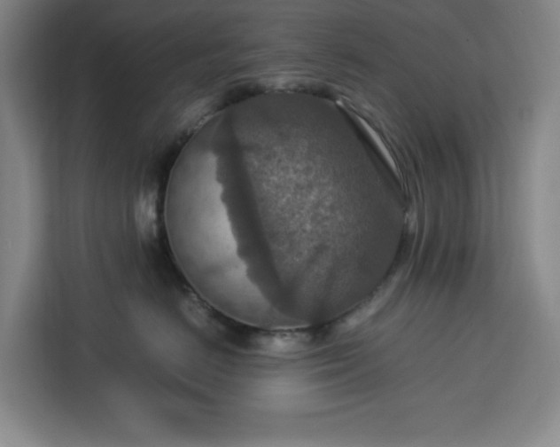 X0000112950670200908311510