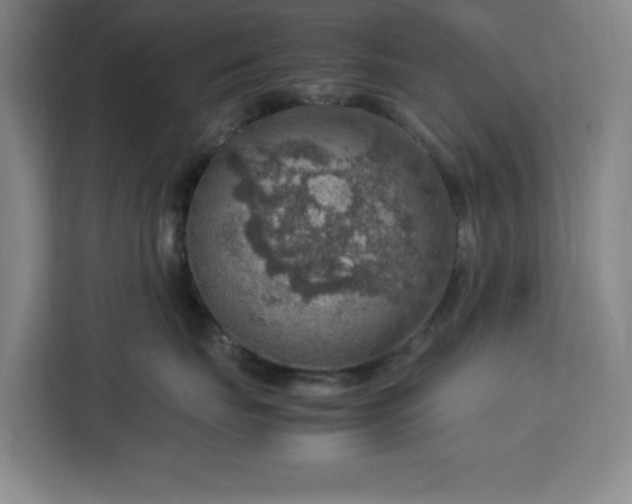 X0000112950671200908311510