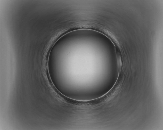 X0000112950673200908311510