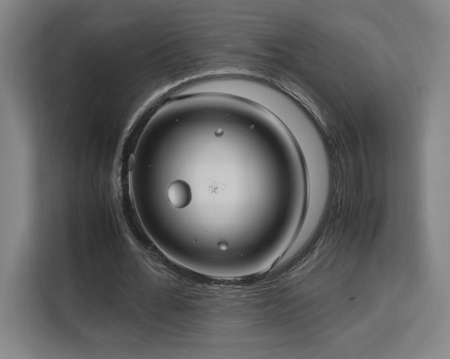 X0000112950676200908311510