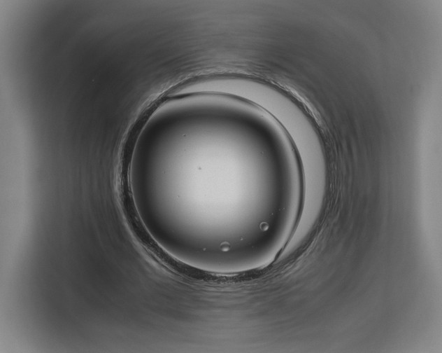 X0000112950677200908311510