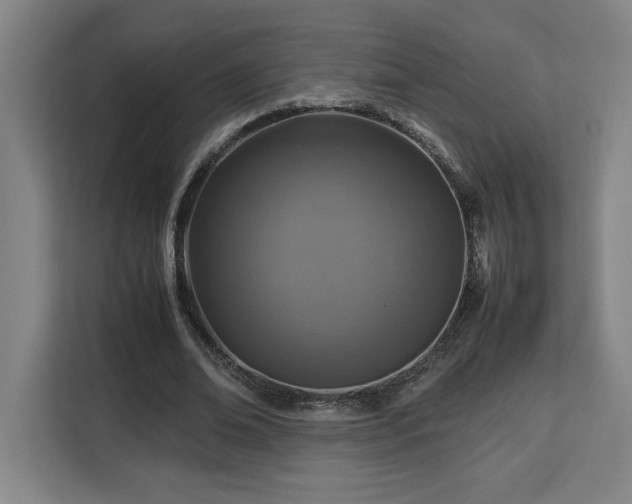 X0000112950678200908311510