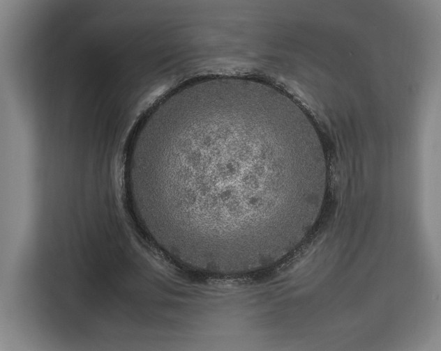 X0000112950679200908311510