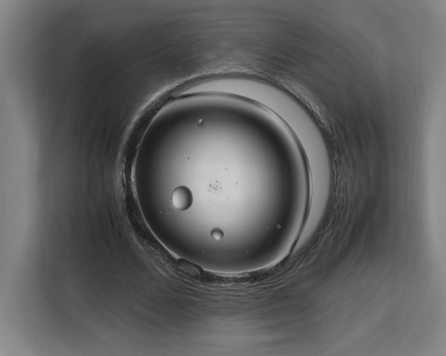 X0000112950680200908311510