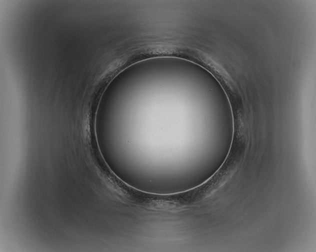 X0000112950681200908311510