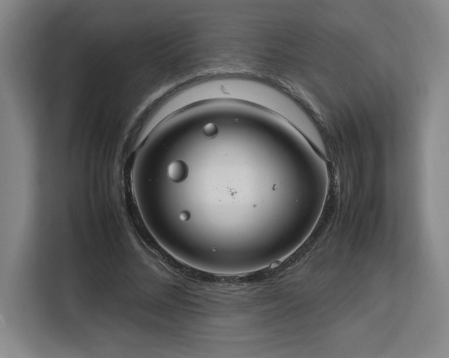 X0000112950684200908311510