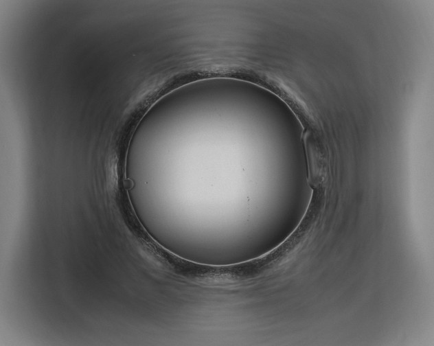 X0000112950685200908311510