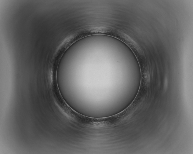 X0000112950686200908311510