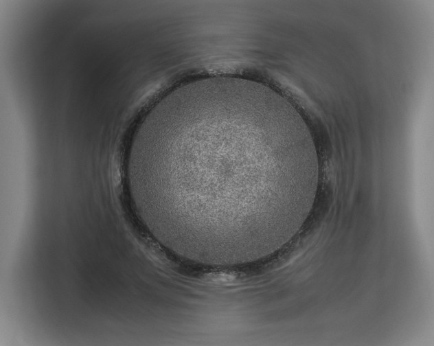 X0000112950687200908311510