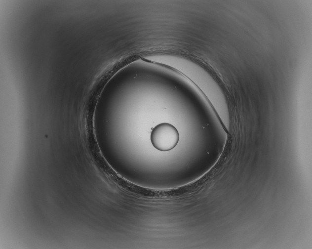 X0000112950688200908311510