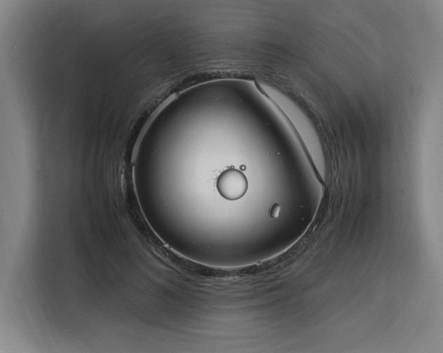 X0000112950692200908311510