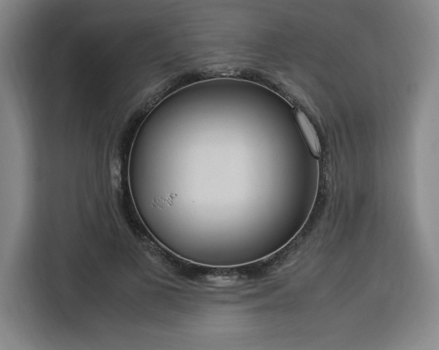 X0000112950693200908311510