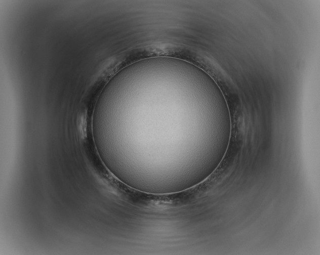 X0000112950694200908311510