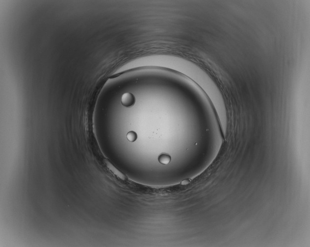 X0000112950696200908311509