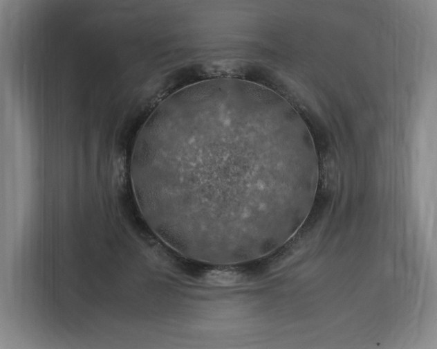 X0000112950699200908311509