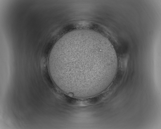 X0000112950701200908311509