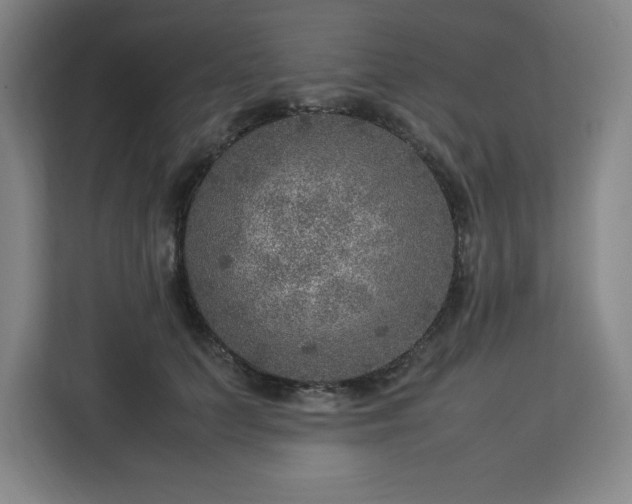 X0000112950703200908311509