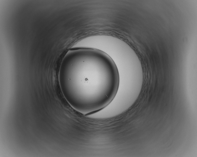 X0000112950704200908311509