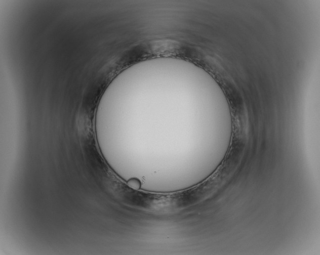 X0000112950705200908311509