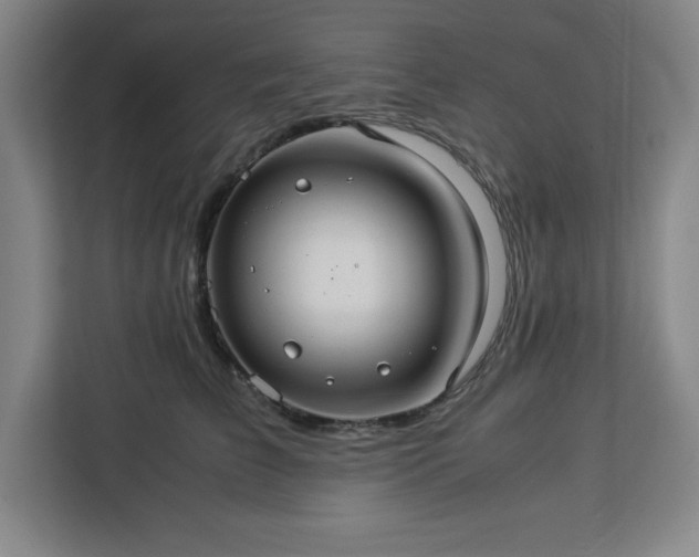 X0000112950709200908311509